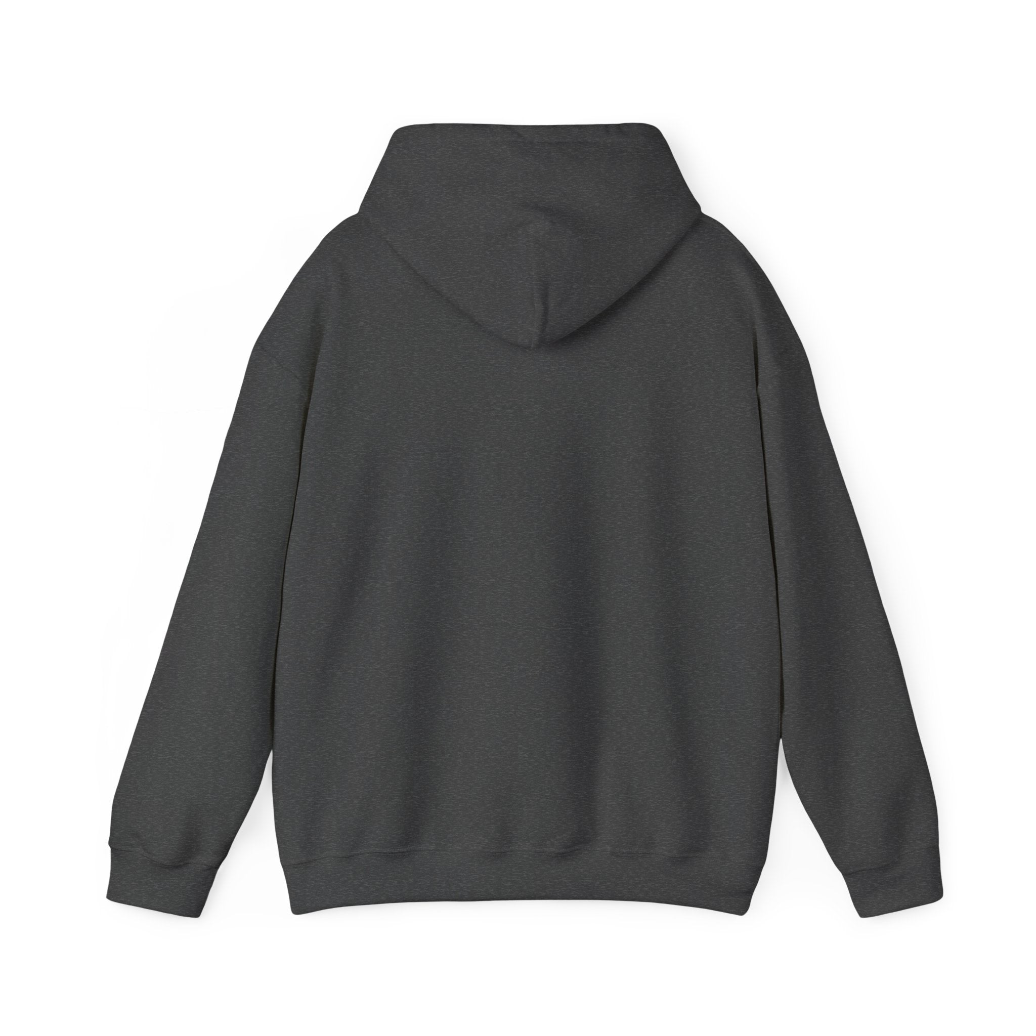 Heber Springs Hoodie
