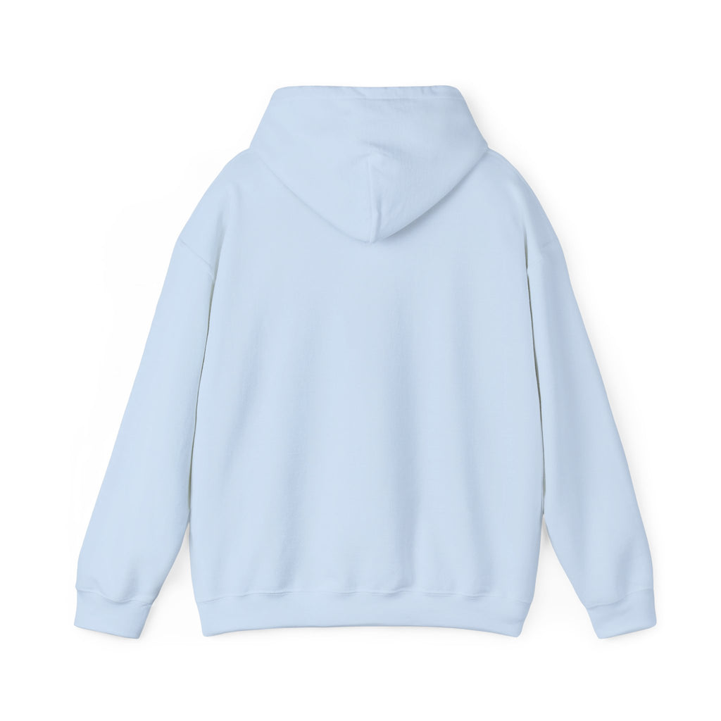 Heber Springs Hoodie