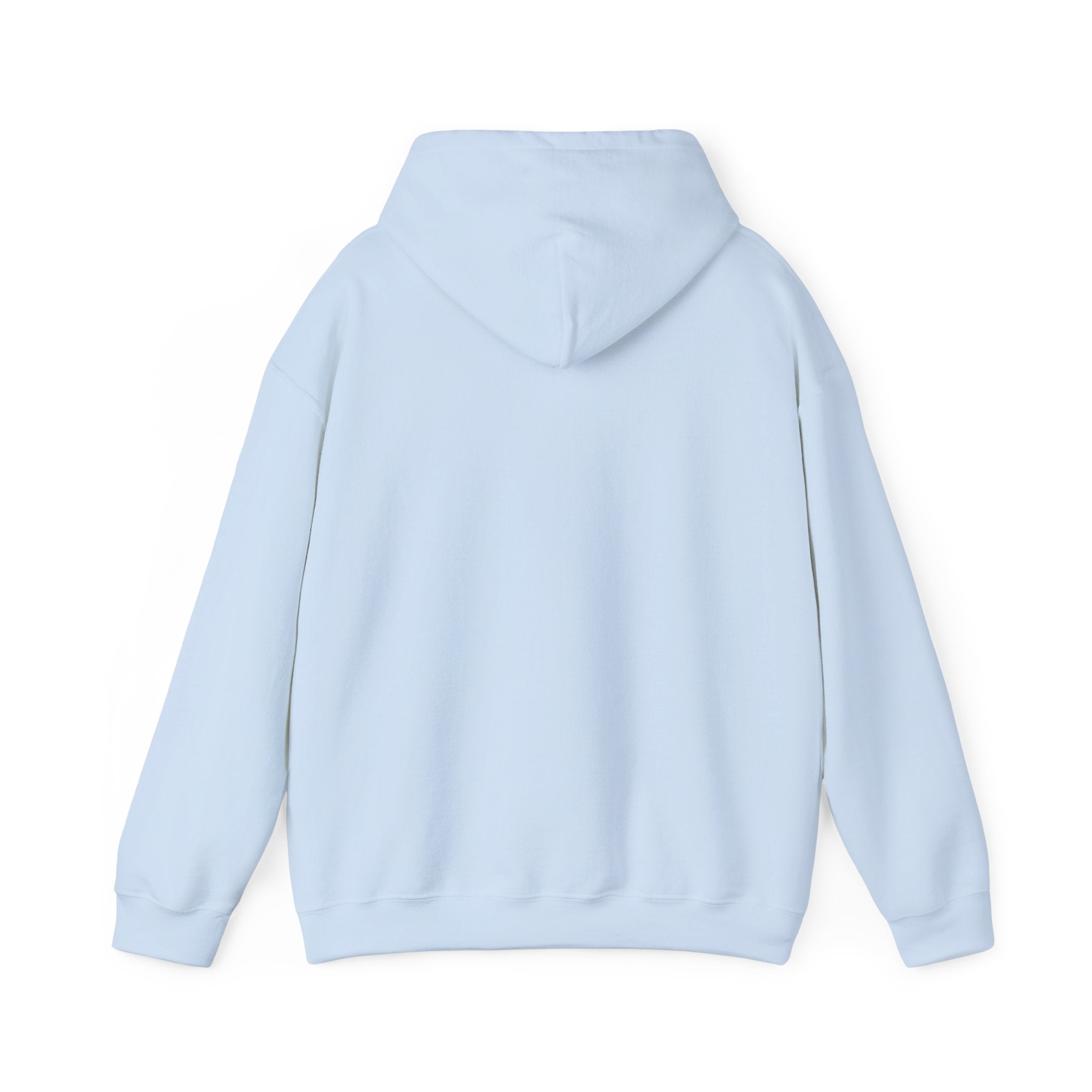 Heber Springs Hoodie
