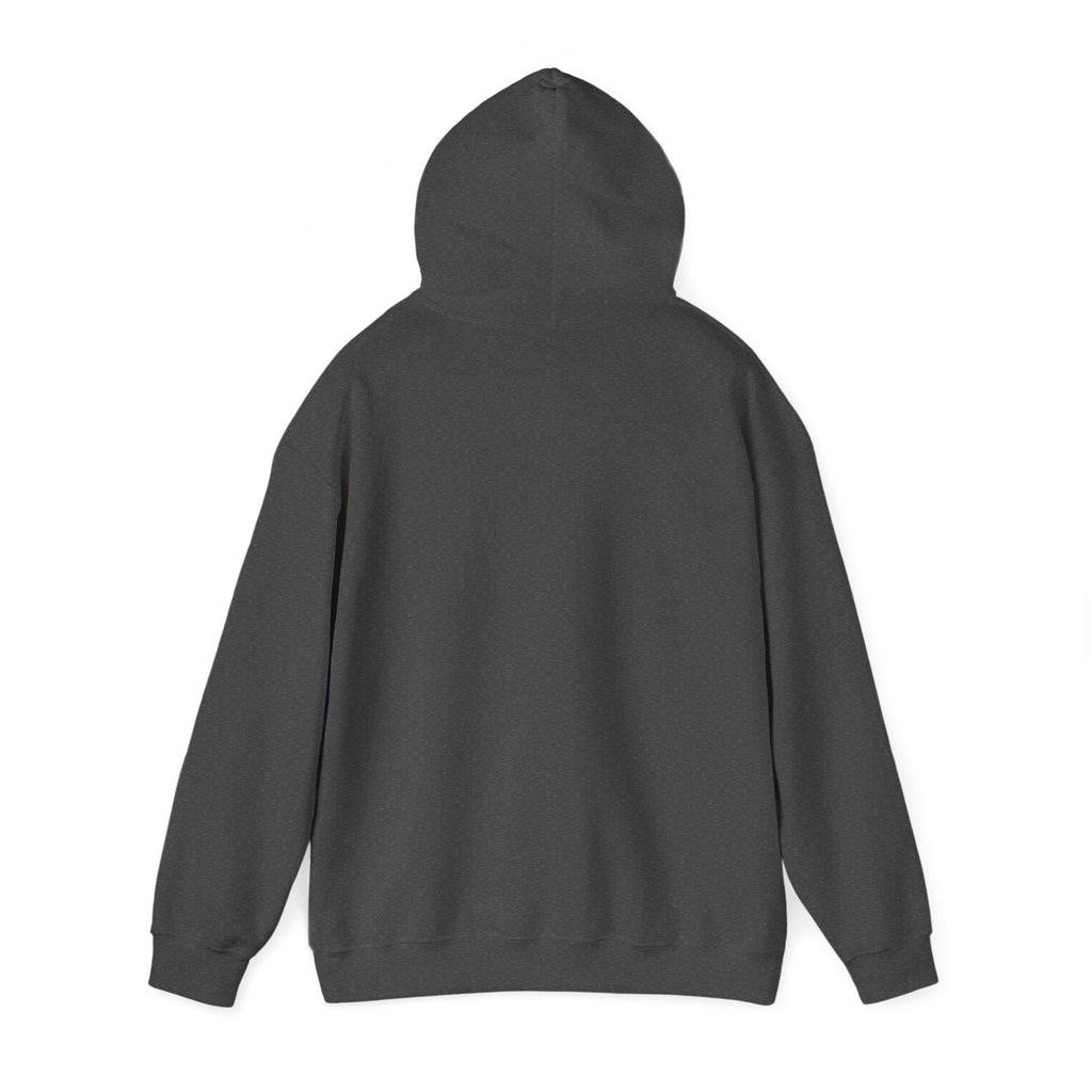 Heber Springs Hoodie