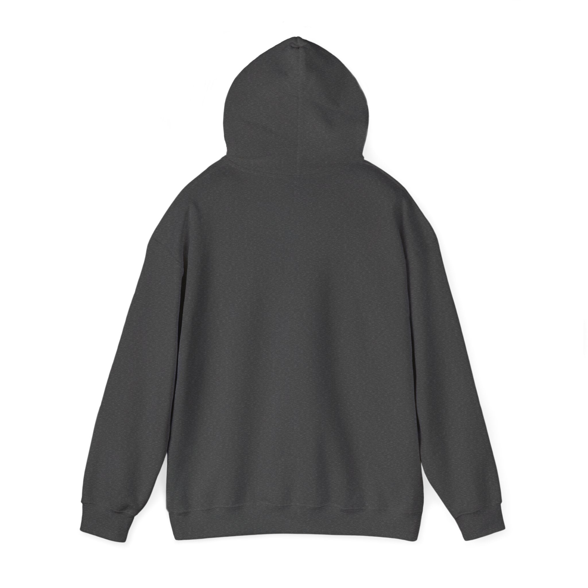 Heber Springs Hoodie