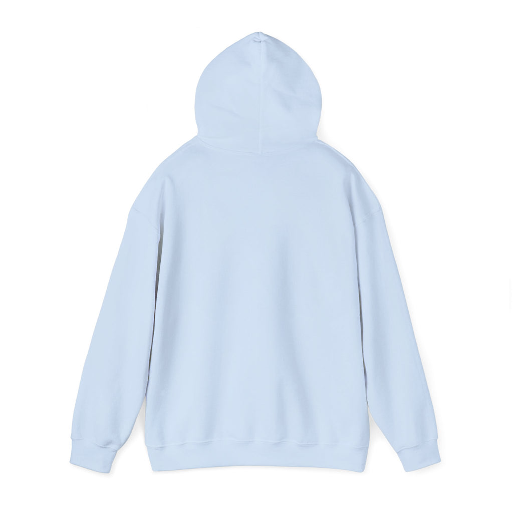 Heber Springs Hoodie