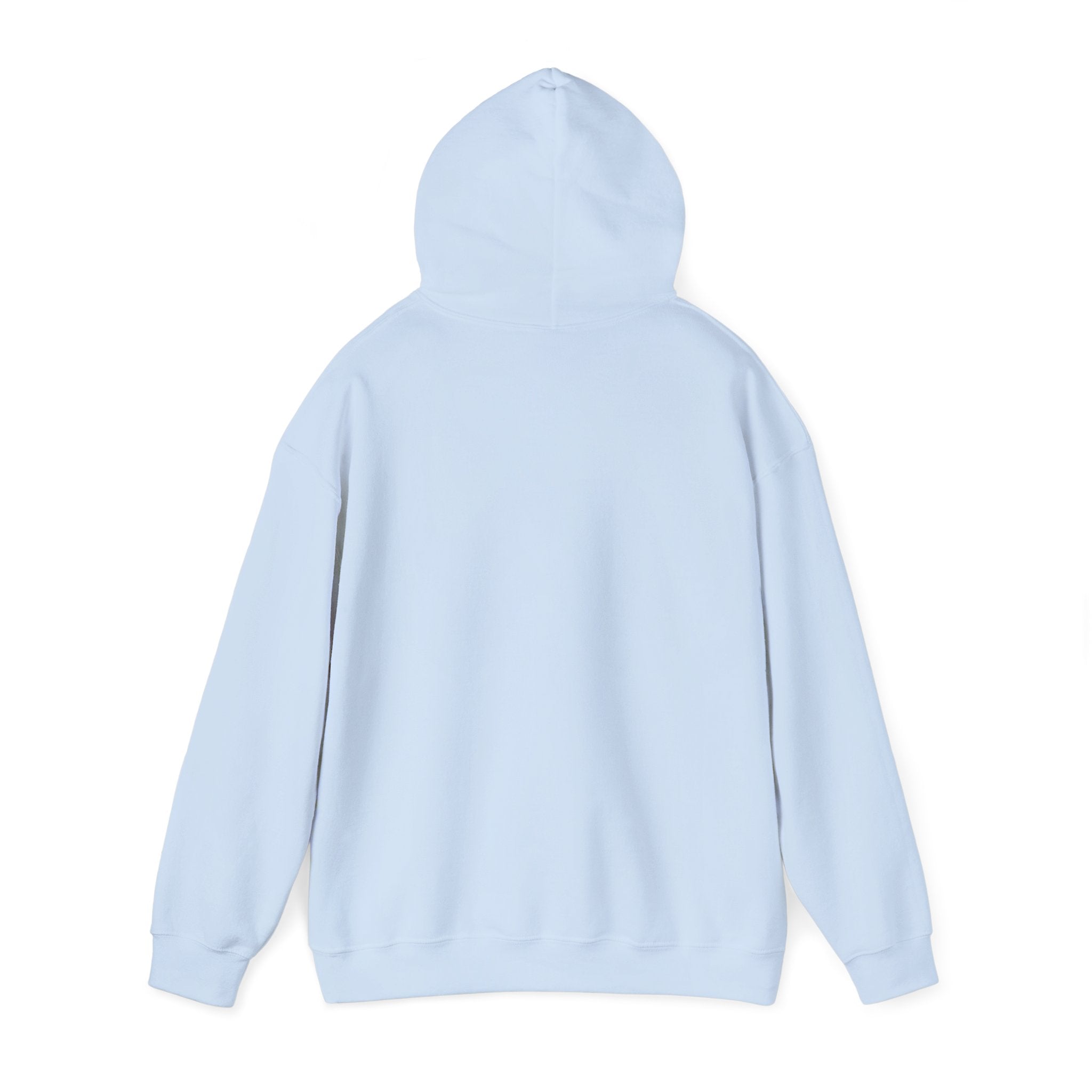 Heber Springs Hoodie