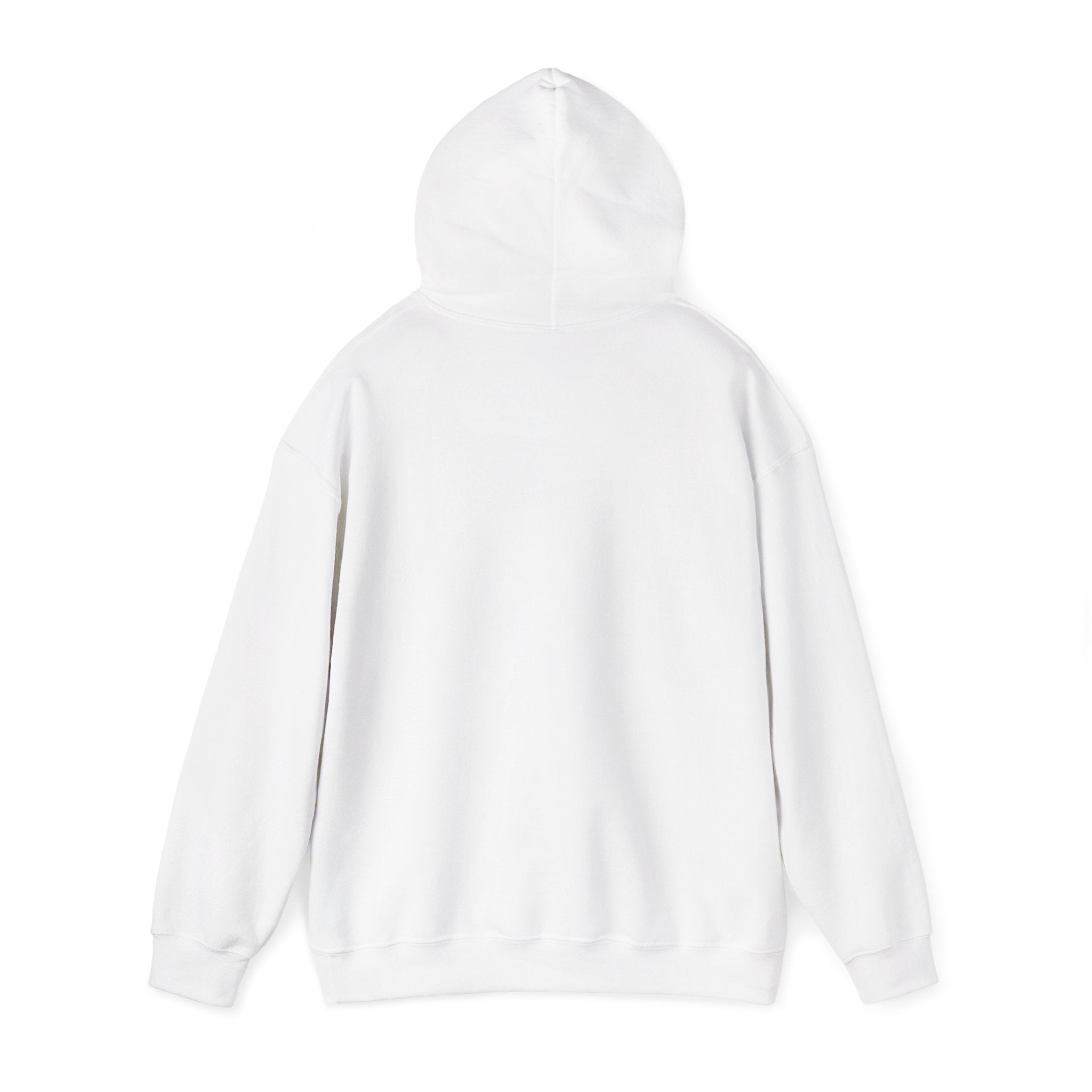 Heber Springs Hoodie