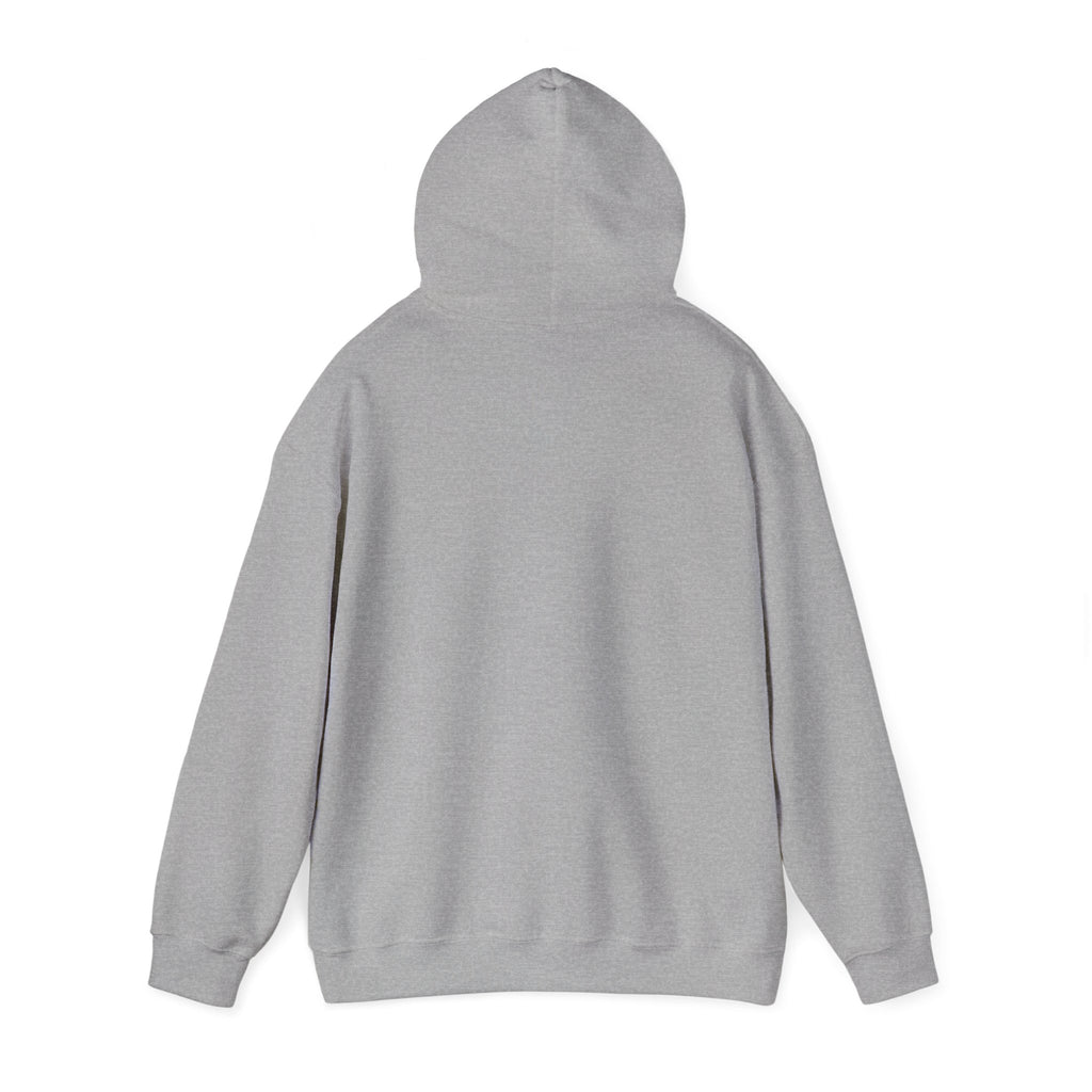 Heber Springs Hoodie