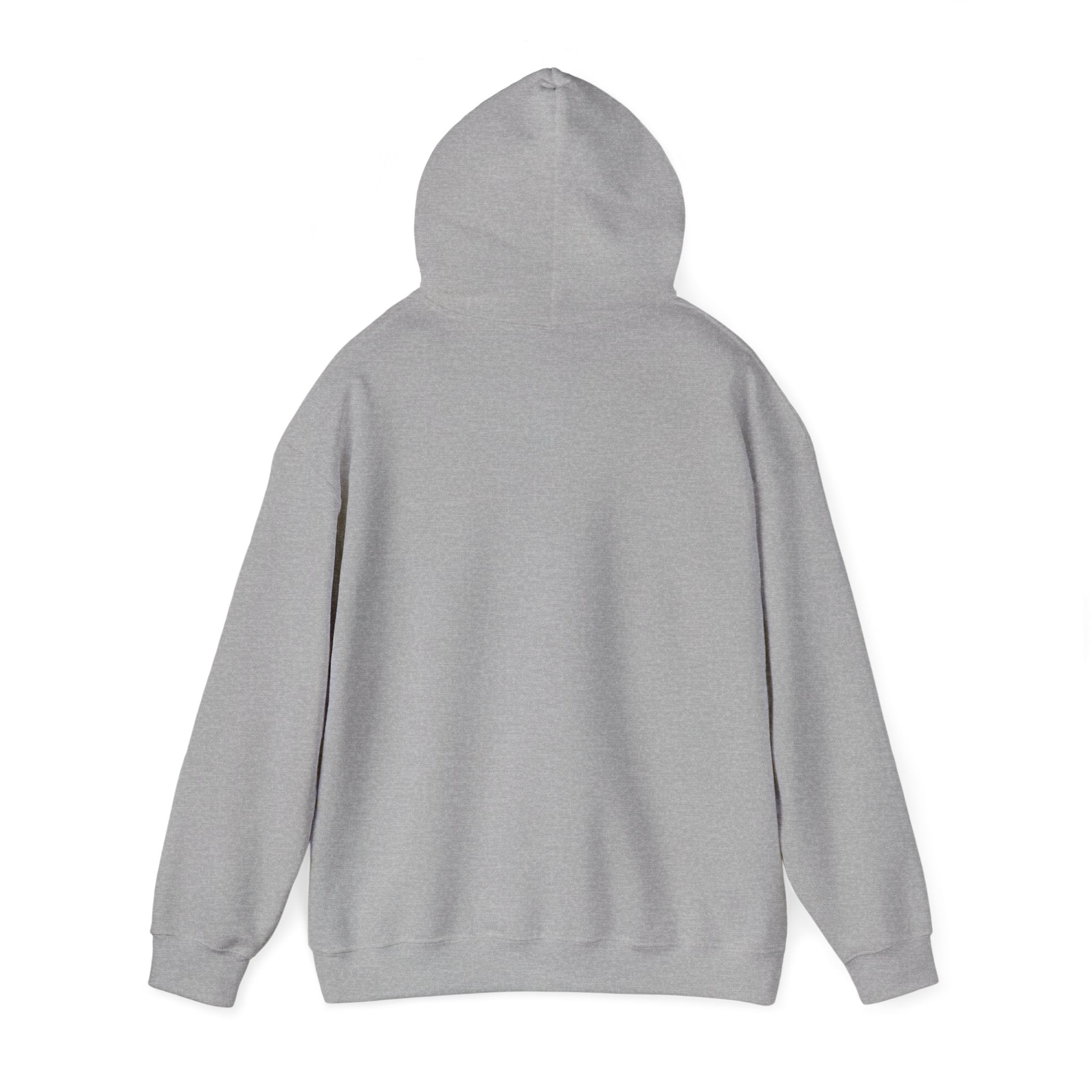 Heber Springs Hoodie