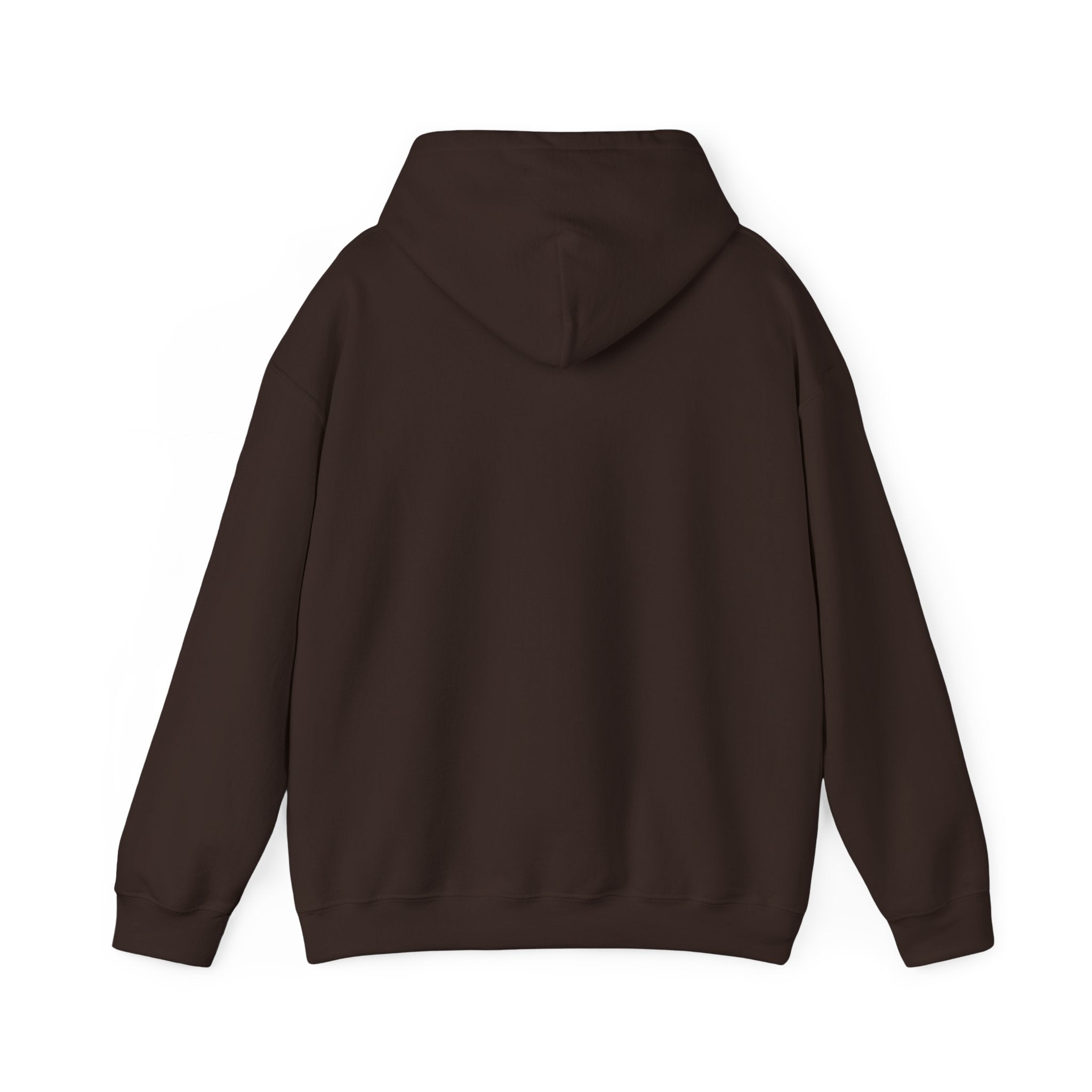 Heber Springs Hoodie