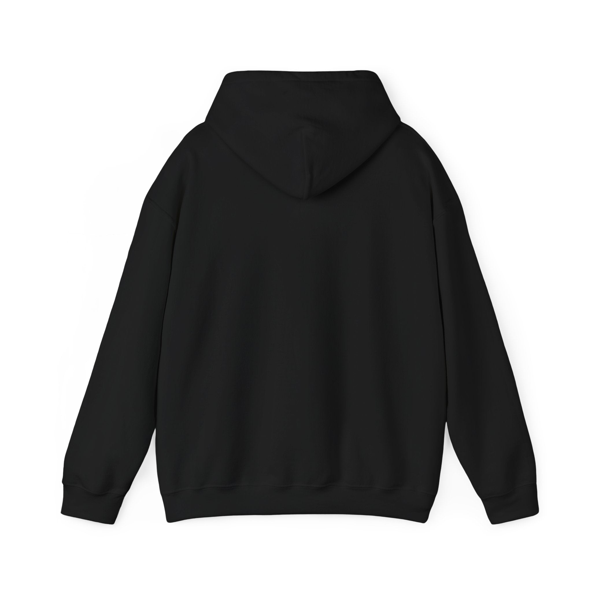 Heber Springs Hoodie