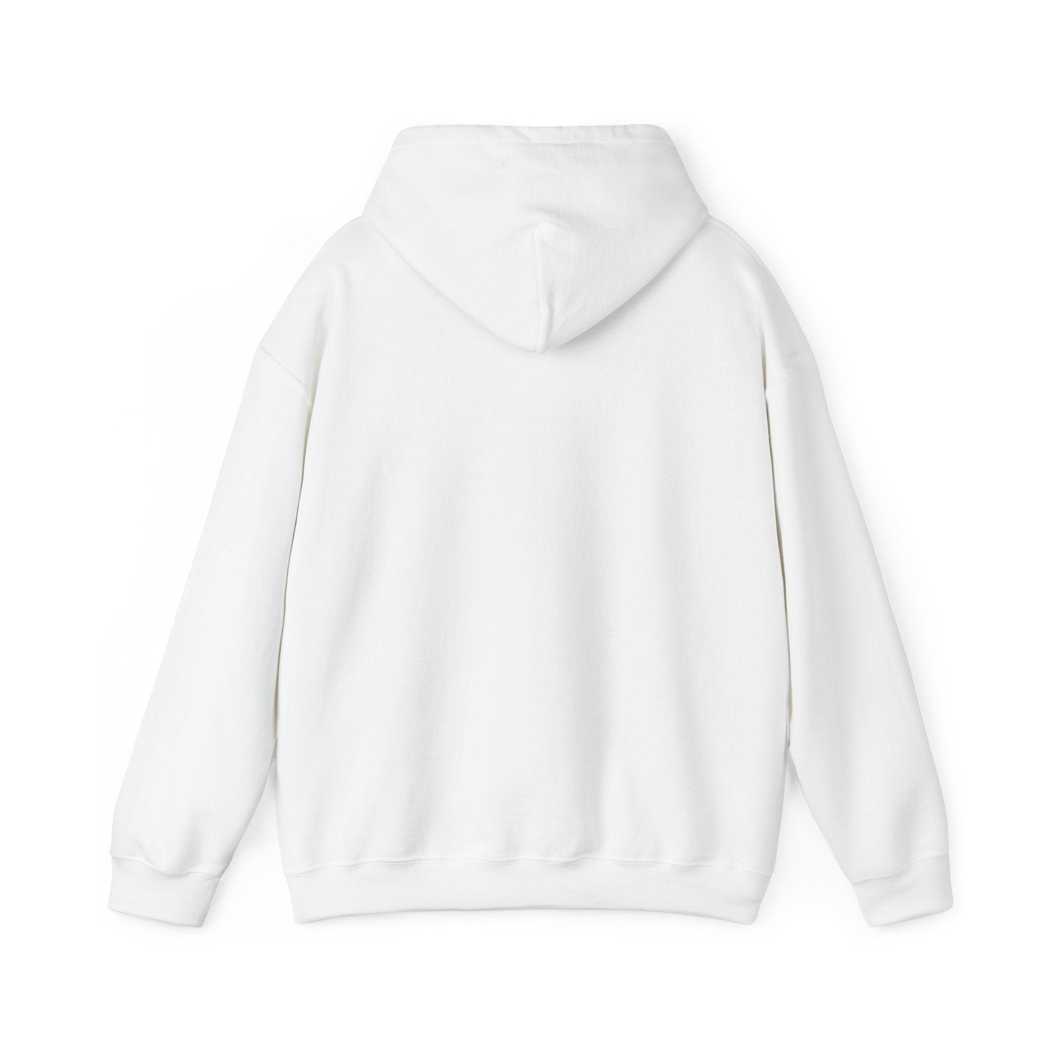 Heber Springs Hoodie